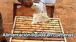 ALIMENTACION LIQUIDA  Estimulación de OTOÑORenovando población 💪🐝✨ [upl. by Lirpa]