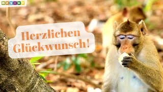 Herzlichen Glückwunsch zum Geburtstag 🎂  Tierische Geburtstagsgrüße für dich 🎵 [upl. by Arbed250]