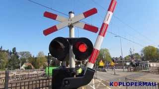 Dutch intercity at railroad crossing [upl. by Drapehs]