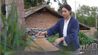 Harvesting pyracantha fruit and makes delicious red berries cake  Fruit cake recipe [upl. by Beniamino794]