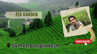 The Stunning Sylhet Tea Gardens  Nature Vlog 2024 [upl. by Kella]