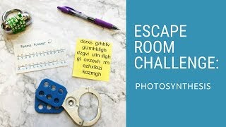 Photosynthesis Escape Room [upl. by Eetak]