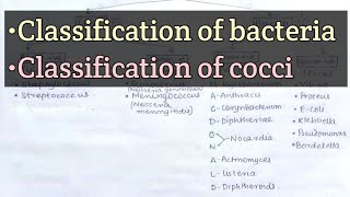 Classification of bacteria with MNEMONIC  Classification of cocci [upl. by Eiramyma]