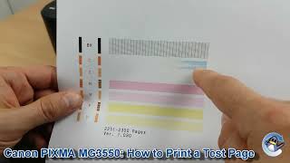 Canon Pixma MG3550 How to Print a Nozzle Check Test Page [upl. by Ninazan]