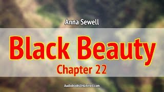 Black Beauty Audiobook Chapter 22 [upl. by Ashatan1]