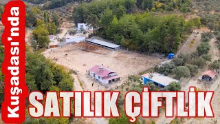 Kuşadasında Satılık Çiftlik  Satılık Küçükbaş Çiftlik [upl. by Edris]