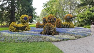 INSEL MAINAU im BODENSEE DEUTSCHLAND 2024 [upl. by Dyolf]