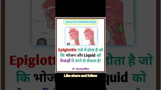 What is Epiglottis education health nursing nursingofficer medical gk students upsc shorts [upl. by Soalokcin174]