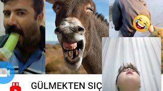 🤣gülmeme ghallenge sulu💦 [upl. by Raoul481]