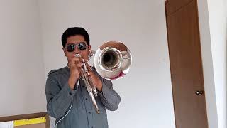 TU FALTA DE QUERER  TROMBONE COVER [upl. by Eekram]