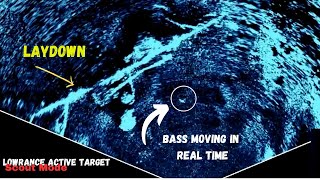 Lowrance Active Target [upl. by Bellina639]