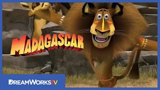 Madagascar 4 Fan Film TEASER TRAILER Teaser Trailer 1 [upl. by Russia]