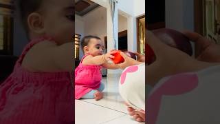 6 Month Baby Identifying Fruits 🍎 🍉 🥝🍑🍌🍏baby babymoments babydevelopment 6monthsbaby [upl. by Lugar]