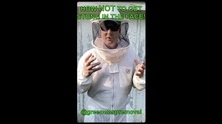 DONT GET STUNG IN THE FACE BEE SUIT HACK FOR BEEKEEPERS AND WASP PROFESSIONALS FACE PROTECTION [upl. by Amri]