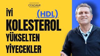 HDL KOLESTEROL NEDÄ°R I Ä°YÄ° KOLESTEROL Ä°YÄ° HUYLU KOLESTEROL HDL KOLESTEROL NASIL YÃœKSELTÄ°LÄ°R [upl. by Reh54]