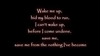 Evanescence  Wake me up Inside Lyricsmp4 [upl. by Fredella]