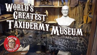 Touchstone Taxidermy Museum  Greatest Taxidermy Museum Ever [upl. by Olivette]