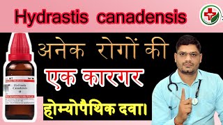 Hydrastis canadensis homeopathic medicine  Hydrastis Q homeopathic uses  Dr Sunil Patidar [upl. by Conall216]