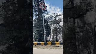 qaafirana viral yt trending kedarnath solangvalley ataltunnel manali video bollywood [upl. by Namya14]