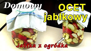 Przepis na OCET JABŁKOWY Jak zrobić DOMOWY ocet jabłkowy Część 1 361 [upl. by Lenahc]