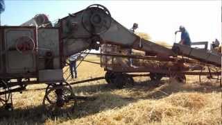 2012 Martin Threshing [upl. by Martine]