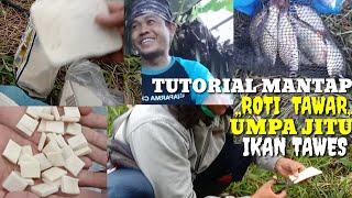 TUTORIAL UMPAN ROTI SANGAT MANJUR BUAT IKAN TAWES DAN IKAN MASINI HASILNYA [upl. by Dobson]