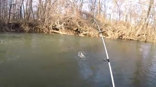 Winter Wild Trout Fishing on Codorus Creek PA [upl. by Zeugirdor553]