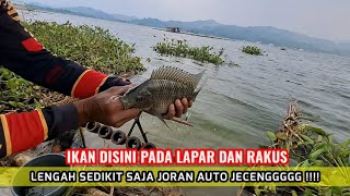 MANCING BLESENG LAPAK LIAR DAERAH BOJONG LANGKAP TERNYATA IKAN DISINI KELAPARAN AUTO PANEN STRIKE [upl. by Narual]