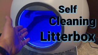 Why I will Never Clean My Litter Box Again  ELS PET [upl. by Ysnil]