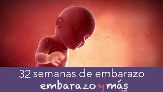 32 semanas de embarazo  Octavo mes  EMBARAZOYMAS [upl. by Eirotal]