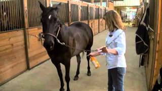 Absorbine Veterinary Liniment  Treat Lameness In Horses [upl. by Hester]