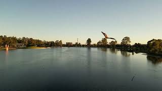 Shepparton VIC  Australia by drone 3 [upl. by Teage]