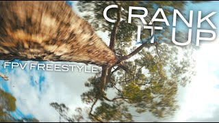 CRANK IT UP  fpv freestyle [upl. by Saudra502]