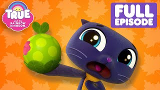 Autumn Special  Grabbleapple Harvest Full Episode  True and the Rainbow Kingdom 🌈 [upl. by Stu]