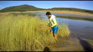 PESCARIA DE PENEIRA NA BARRAGEM DE TRÊS MARIAS [upl. by Fidel]