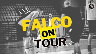 Falco On Tour  Olasz meló  1 nap [upl. by Odnam]