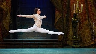 Sergei Polunin  Grand Pas from the ballet Paquita [upl. by Takeshi]