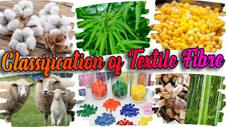 Classification Of Textile Fibers  Sources Of Textile Fibre [upl. by Treacy73]