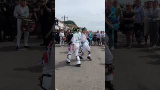 Sidmouth Folk Festival 2024 [upl. by Cooperstein502]