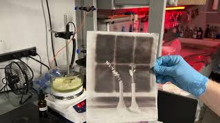 Waxing a Calotype Paper Negative [upl. by Suoicserp]