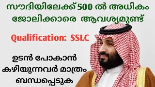 job vacancy in saudi arabia 2024 malayalamgulf jobs malayalam 2024urgent gulf recruitment [upl. by Stedman]