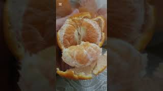 MANDARIN ORANGE mommylei freshorange healthylifestyle healthyfoods [upl. by Drais]