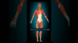 3D animation humandoctor and medicine short video [upl. by Ayirp]