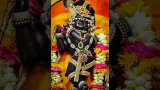 ✨🌹 shree gopal ji status video ll Radhe Krishna ji bhajan ll Radha Vallabh ji darshan ll song 🌹✨ [upl. by Aleuname979]