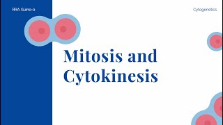 Mitosis and Cytokinesis [upl. by Marmion]