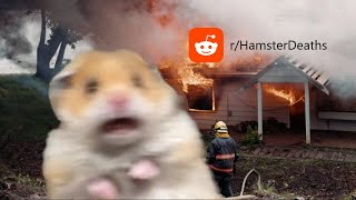 Hamsters CANNOT Die Normally [upl. by Duahsar]