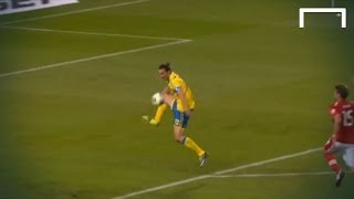 Zlatan Ibrahimović great goal  Sweden v Austria [upl. by Jolene]