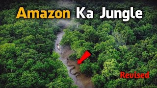 Dangerous Animals of Amazon Jungle  EP 85 [upl. by Irrabaj683]