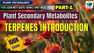 PLANTS SECONDARY METABOLITES PART1  CSIR NET PLANT BIOLOGY [upl. by Namad]