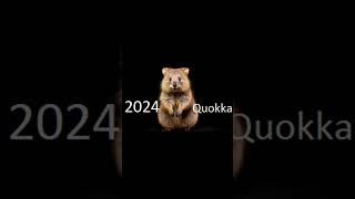 2024 quokka 5000bce quokka animals quokka trending [upl. by Crandell]